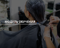 Колористика с нуля. Базовый курс (группа выходного дня)